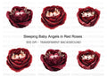 Sleeping Cherubs in Red Rose Clipart Bundle