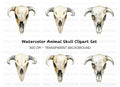 Animal Skull Clipart Bundle