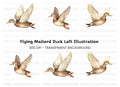 Graceful Flying Duck Clipart Bundle