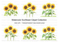 Sunflower Clipart Bundle