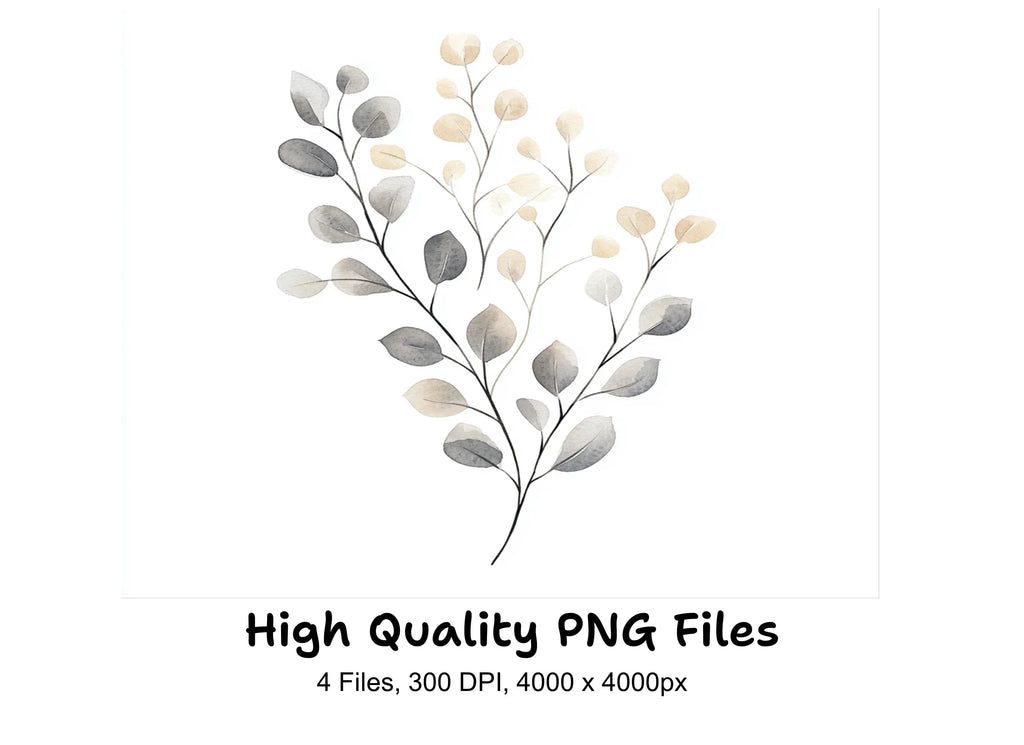 Eucalyptus Willow Clipart Bundle