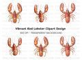 Detailed Lobster Clipart Bundle