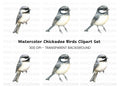Charming Chickadee Bird Clipart Bundle