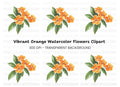 Orange Flower Clipart Bundle