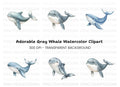Cute Whale Clipart Bundle