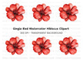 Vibrant Red Geranium Flower Clipart Bundle