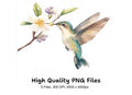 Hummingbird and Blossom Clipart Bundle
