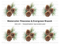 Pine Cones and Needles Clipart Bundle