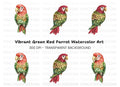 Exotic Parrot Clipart Bundle