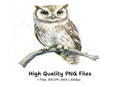 Cute Owl on Branch Clipart Bundle