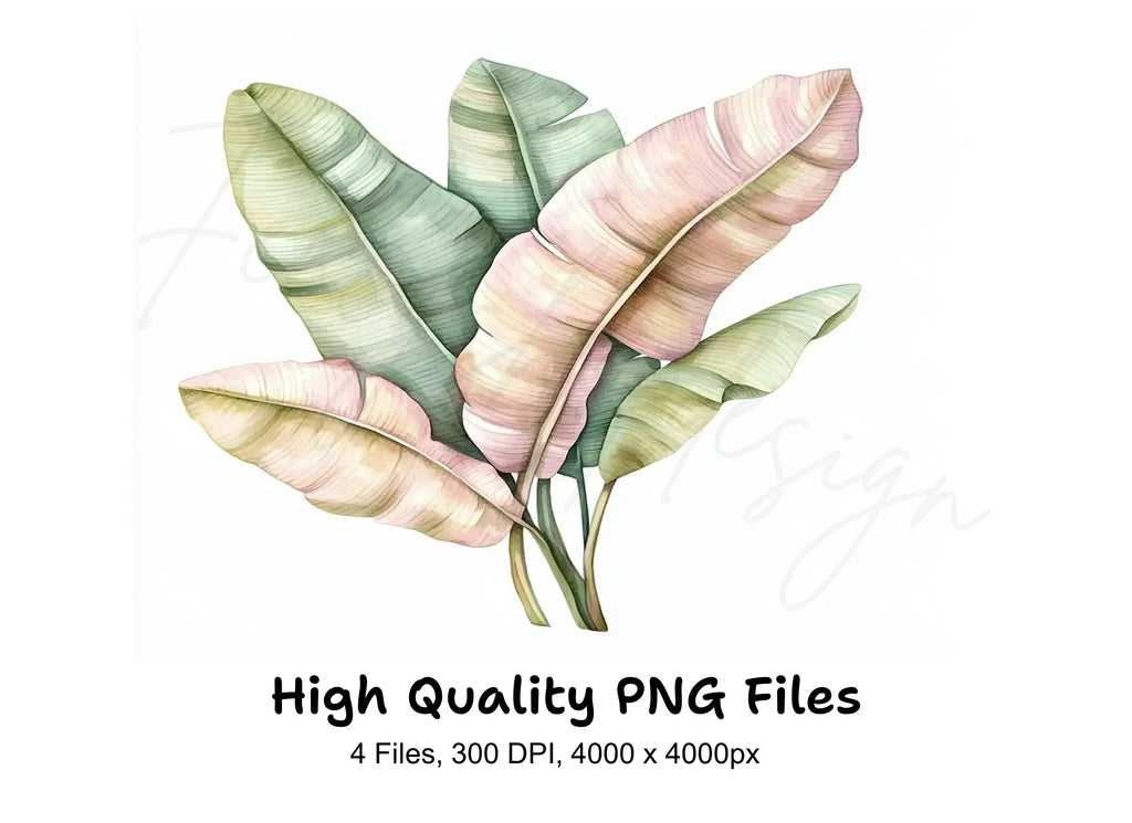 Banana Leaf Clipart Bundle