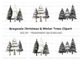 Monochrome Pine Tree Clipart Bundle