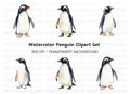 Gentoo Penguin Clipart Bundle