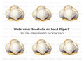 Scallop Shells on Sandy Base Clipart Bundle