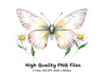 Butterflies and Daisies Clipart Bundle