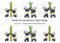 Playful Pandas with Bamboo Clipart Bundle