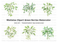 Mistletoe Clipart Bundle