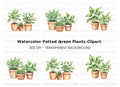 Green Potted Houseplants Clipart Bundle