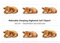 Sleeping Highland Calf Clipart Bundle