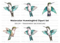 Hummingbird Clipart Bundle