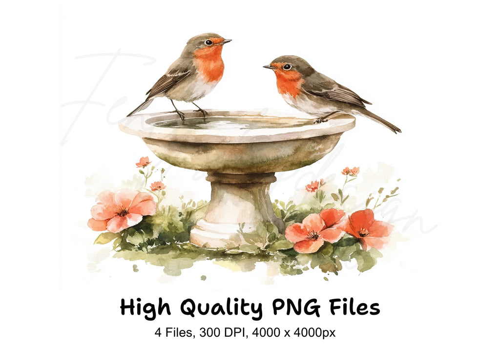 Robin Birds on Bird Bath Clipart Bundle