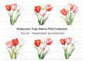 Elegant Pink and Red Tulip Clipart Bundle