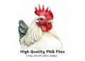 Rooster Clipart Bundle