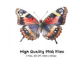 Peacock Butterfly Clipart Bundle
