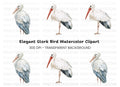 Vibrant Stork Designs Clipart Bundle
