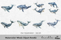 Whale Clipart Bundle