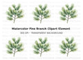 Pine Branch Clipart Bundle