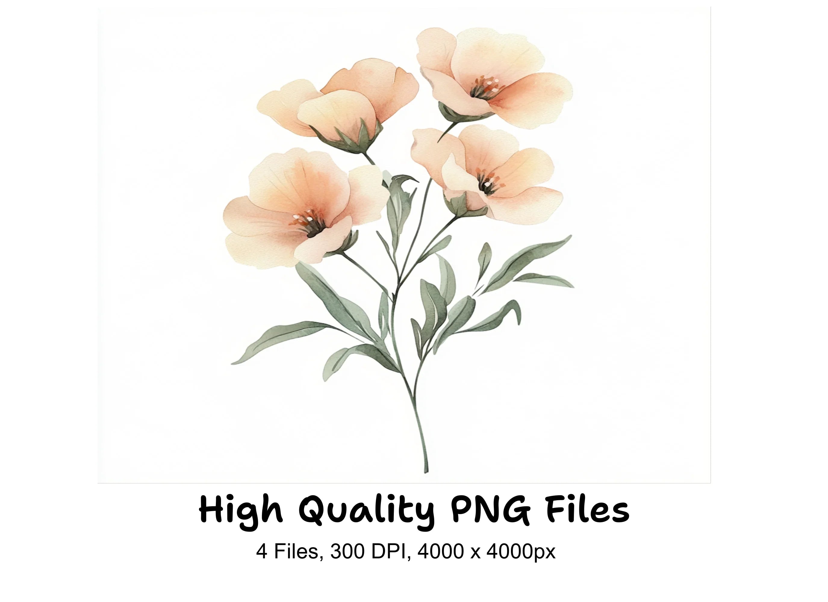 Peach Floral Clipart Bundle