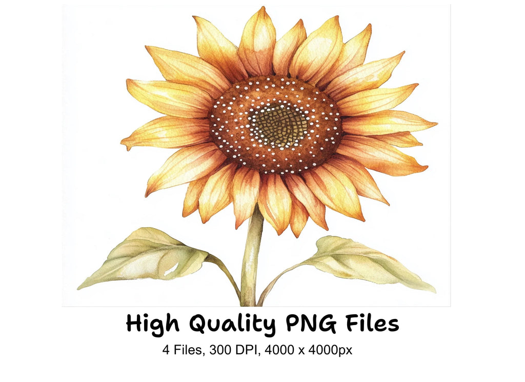 Sunflower Clipart Bundle