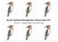 Vibrant Woodpecker Clipart Bundle