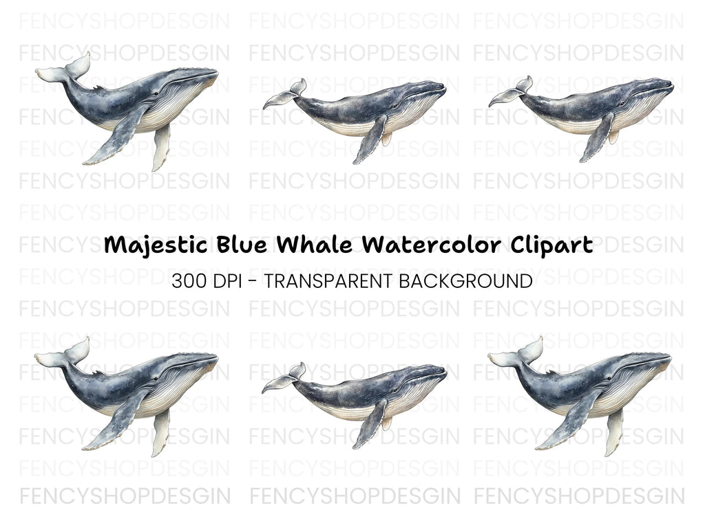 Majestic Whale Duo Clipart Bundle