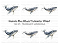 Majestic Whale Duo Clipart Bundle