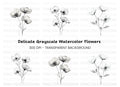 Elegant Black and White Floral Clipart Bundle