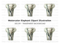 Baby Elephant Tumbler Clipart Bundle