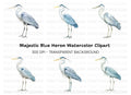 Elegant Grey Heron Bird Clipart Bundle