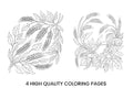 Autumn Harvest Wheat and Leaves Coloring Books