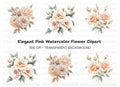 Elegant Peach Rose Clipart Bundle