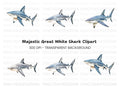 Great White Shark Clipart Bundle