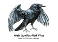 Crows with Open Wings Clipart Bundle