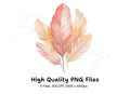 Boho Chic Feather Clipart Bundle