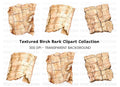 Birch Bark Clipart Bundle