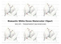 White Doves Feathers Clipart Bundle