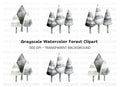 Winter Trees Clipart Bundle