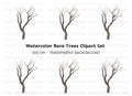 Bare Tree Branches Clipart Bundle