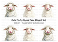 Cute Sheep Clipart Bundle