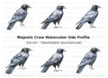 Black Crow Clipart Bundle